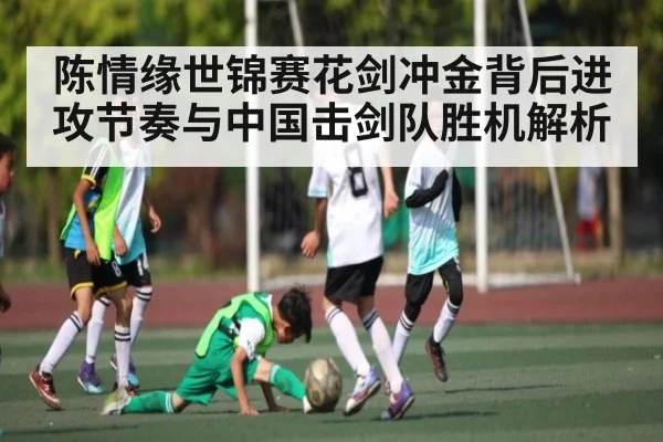 陈情缘世锦赛花剑冲金背后进攻节奏与中国击剑队胜机解析